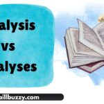 Analysis vs Analyses