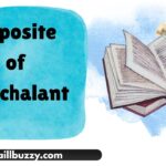 Opposite of Nonchalant