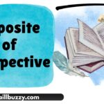 Opposite of Perspective