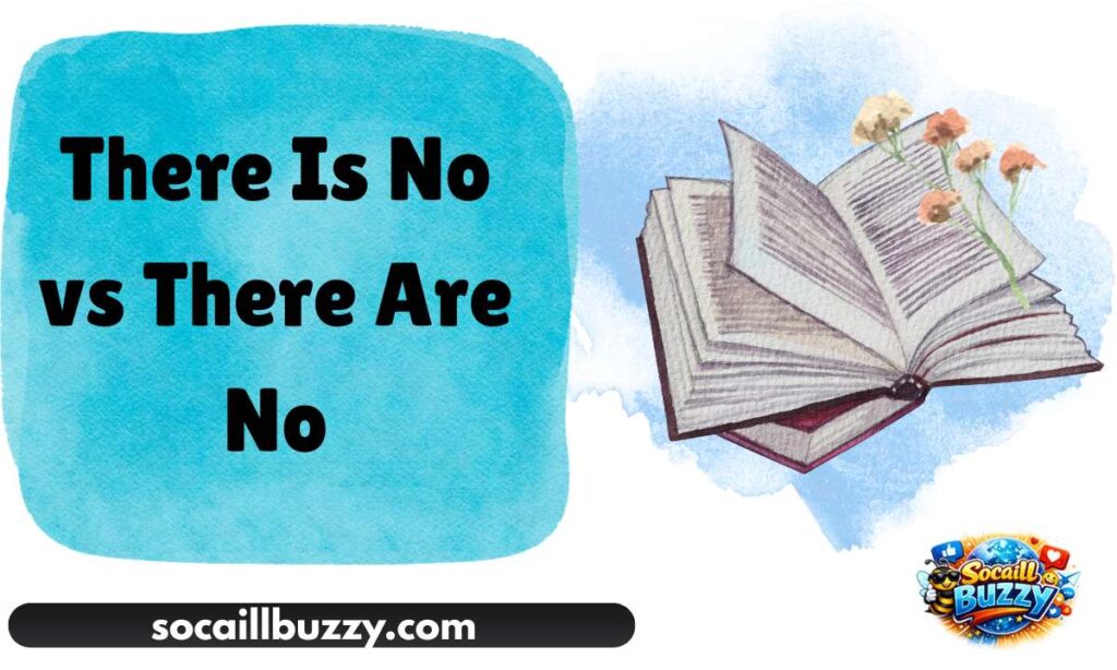 There Is No vs There Are No