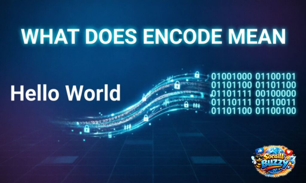 What Does Encode Mean