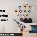 PMO Meaning Explained